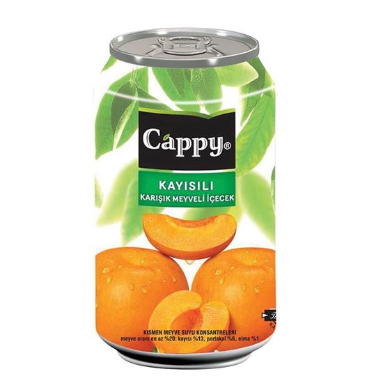 Cappy 330 ml Kutu Kayısı Nektarı resimleri