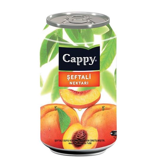 Cappy 330 ml Kutu Şeftali Nektarı resimleri